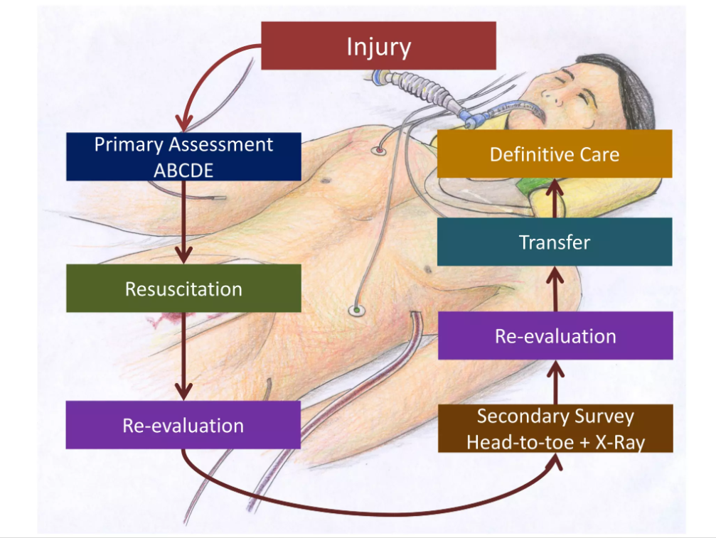 Treatment of Chest, Head & Abdominal Injuries